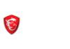 Сервисный центр Msi